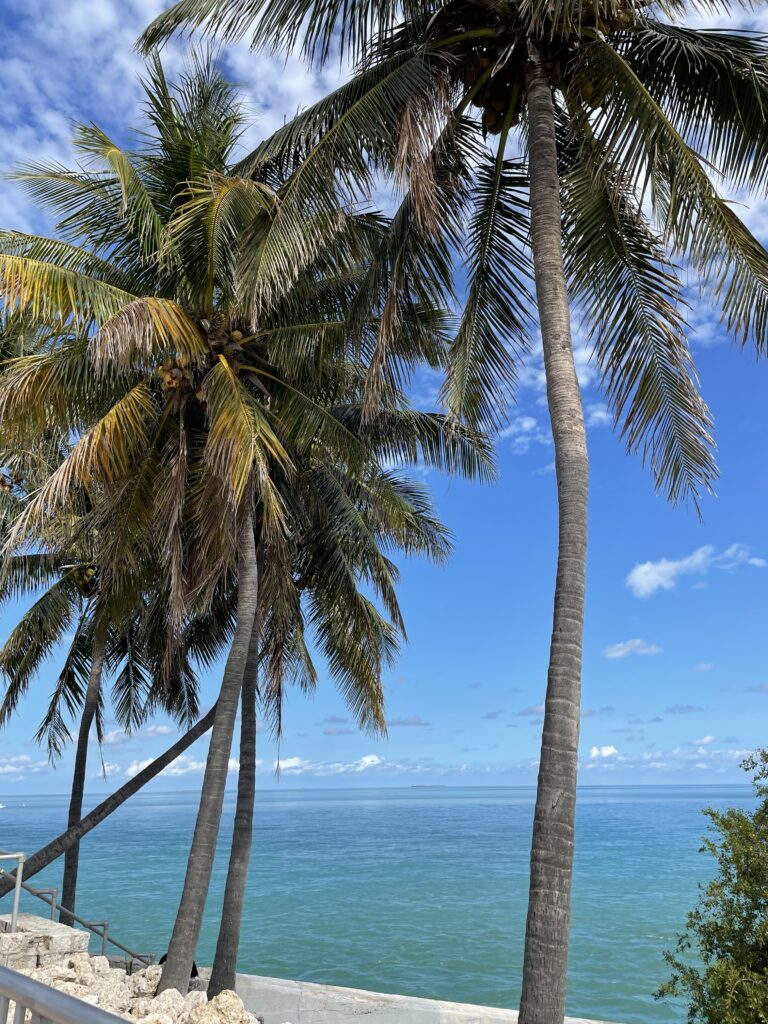 everglades to the keys weather