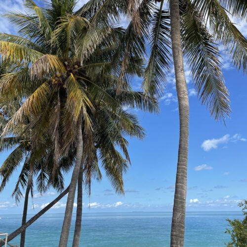 Everglades To The Keys: Fast Trip Must See