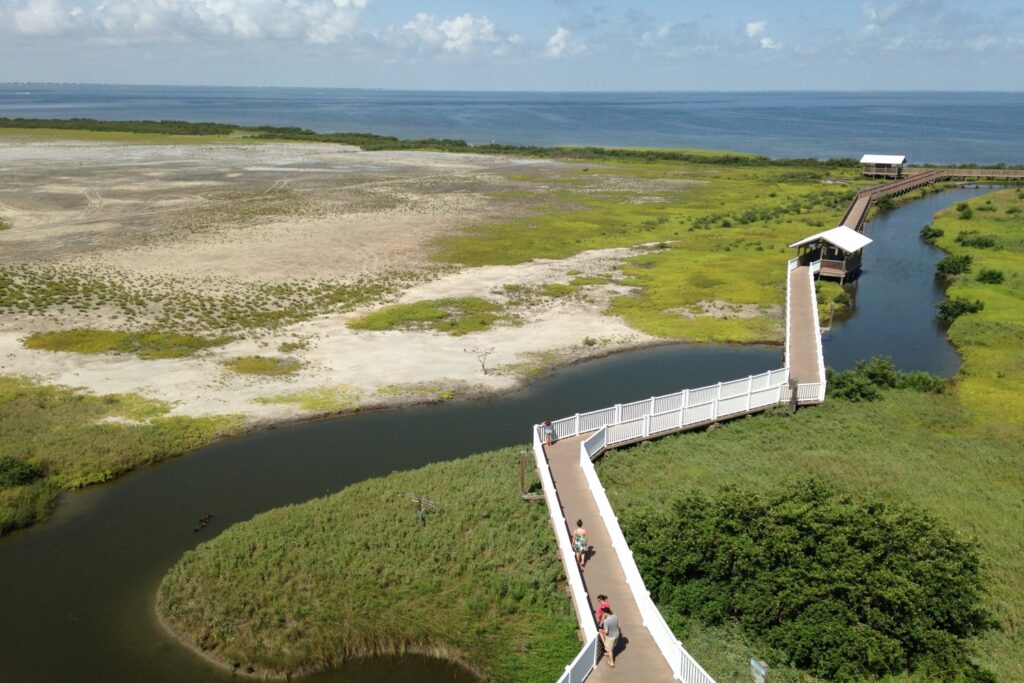 south padre island birding