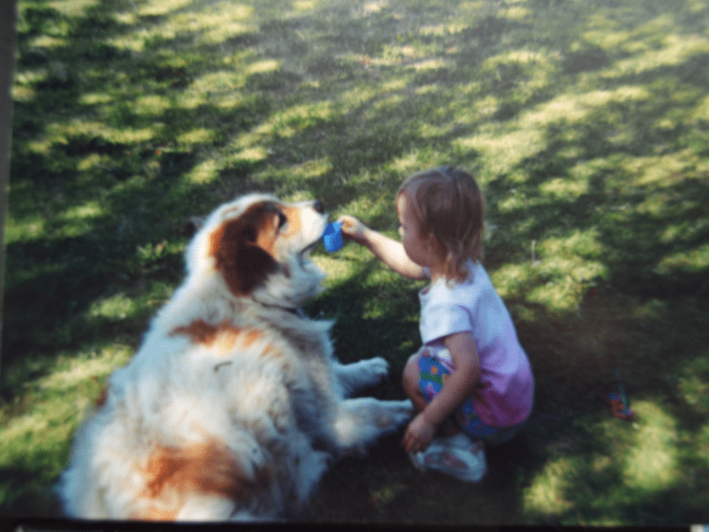 benefits of having a dog