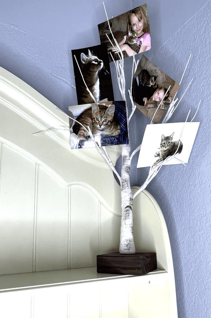 creative ways to hang family photos