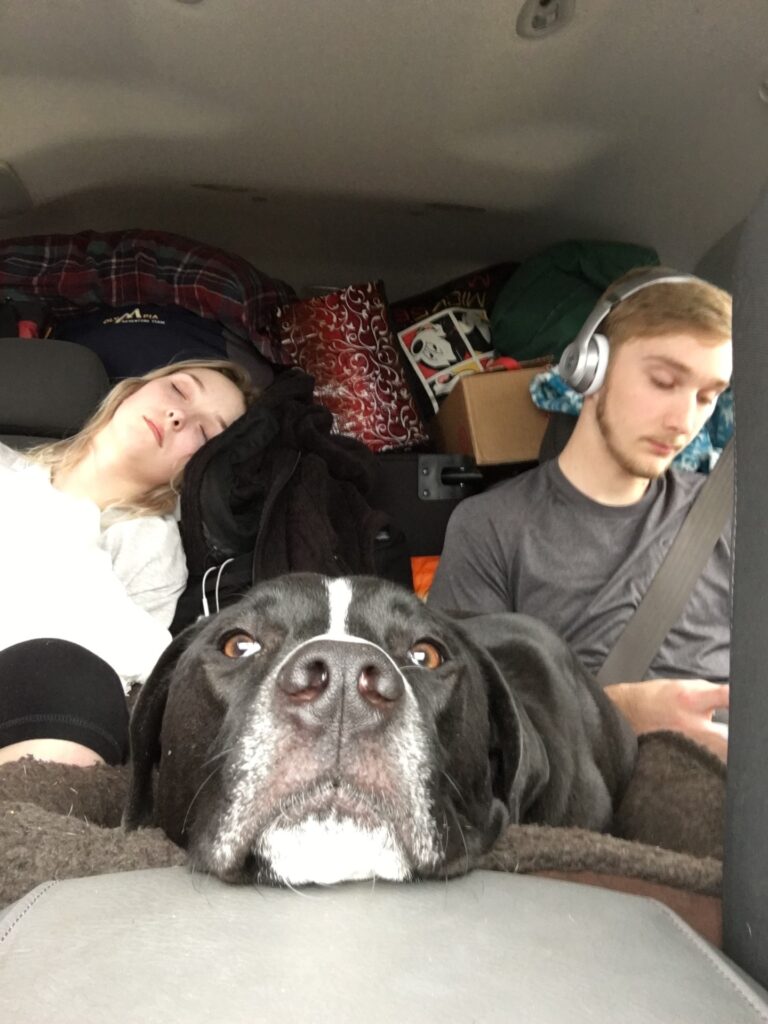 vacation with family tips