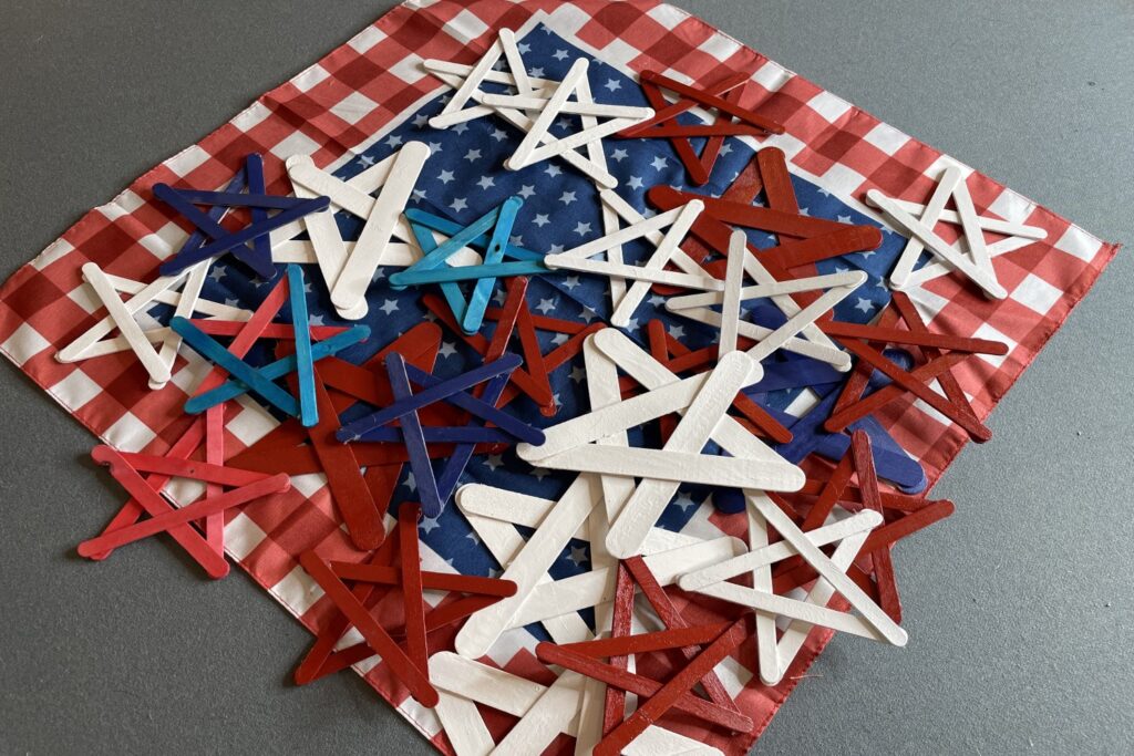 craft stick project for adults