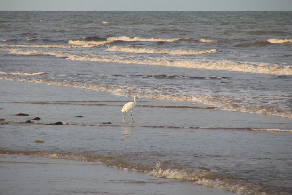 crystal beach