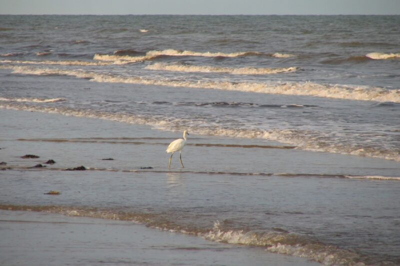 crystal beach