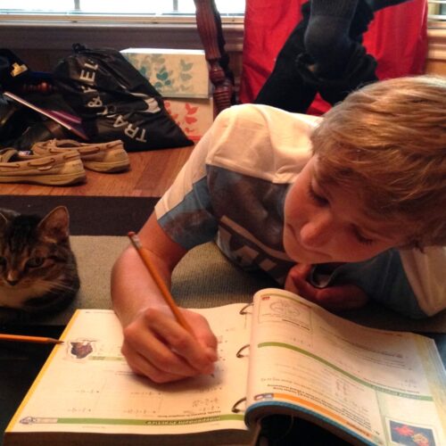 Best Study Tips: Successful Learning For School Age Kids