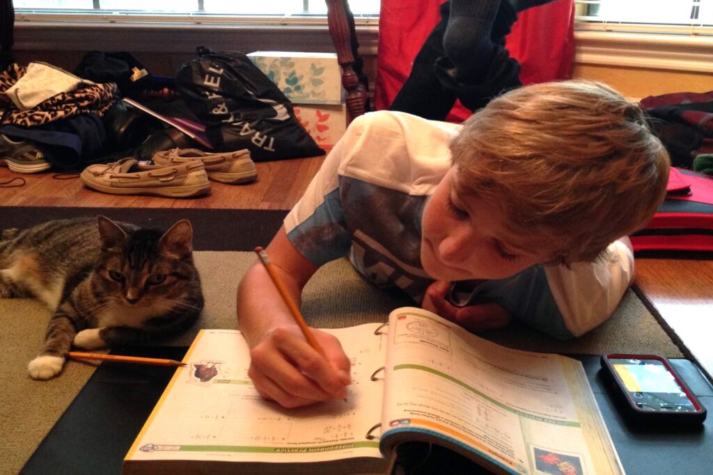 homework tips