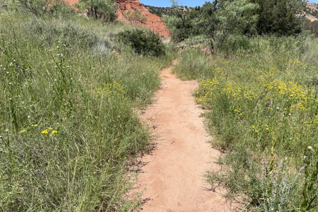 palo duro canyon state park hiking