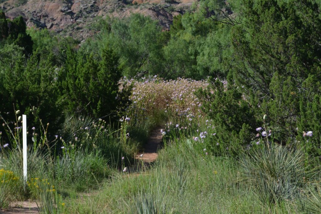 things to do in palo duro canyon